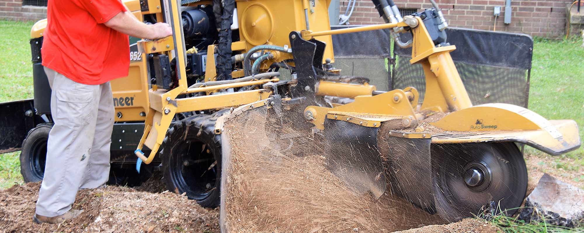 What is Stump Grinding?