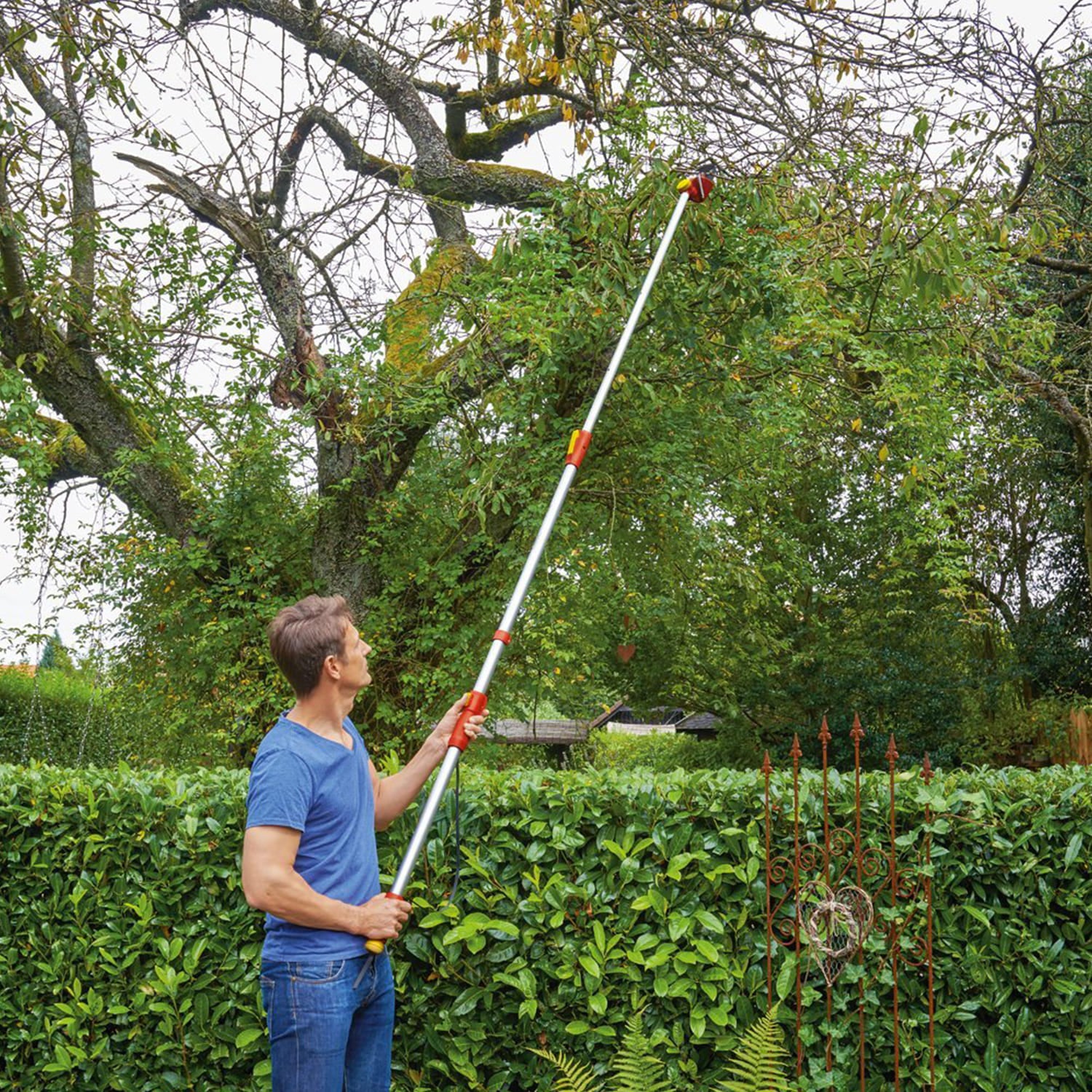 Which Tree Lopper is Right For You?